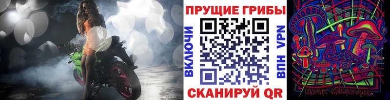 закладки  Мезень  MEGA зеркало  Псилоцибиновые грибы Psilocybine cubensis 